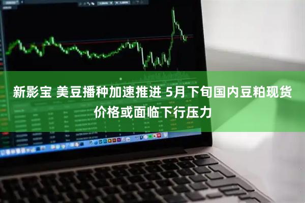 新影宝 美豆播种加速推进 5月下旬国内豆粕现货价格或面临下行压力