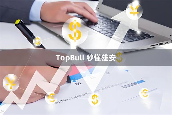 TopBull 秒懂雄安