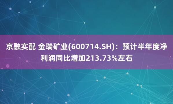 京融实配 金瑞矿业(600714.SH)：预计半年度净利润同比增加213.73%左右