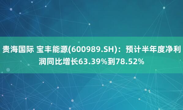 贵海国际 宝丰能源(600989.SH)：预计半年度净利润同比增长63.39%到78.52%