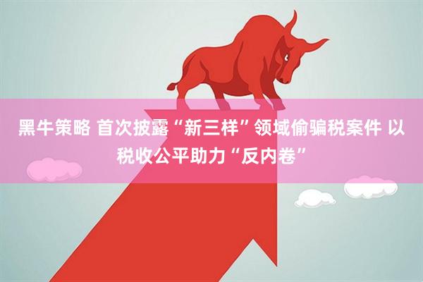黑牛策略 首次披露“新三样”领域偷骗税案件 以税收公平助力“反内卷”