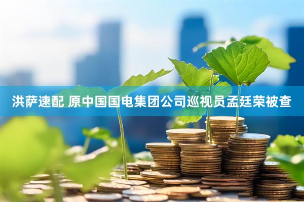 洪萨速配 原中国国电集团公司巡视员孟廷荣被查