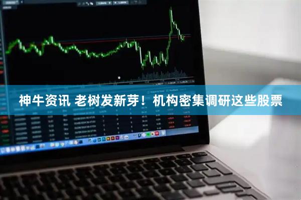 神牛资讯 老树发新芽！机构密集调研这些股票
