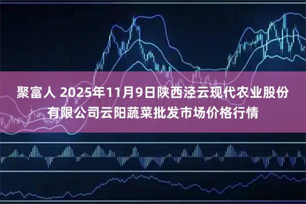 聚富人 2025年11月9日陕西泾云现代农业股份有限公司云阳蔬菜批发市场价格行情