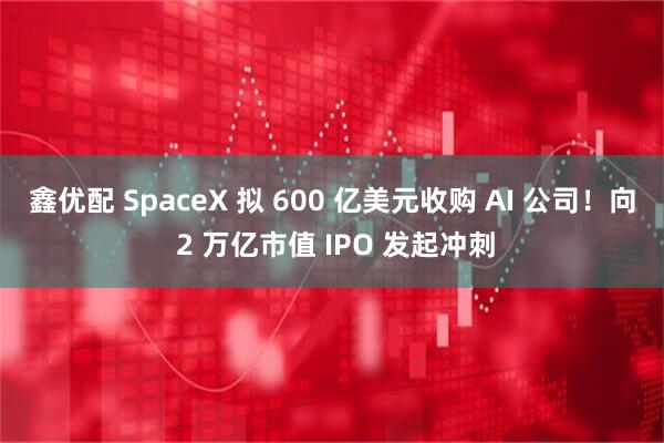 鑫优配 SpaceX 拟 600 亿美元收购 AI 公司！向 2 万亿市值 IPO 发起冲刺